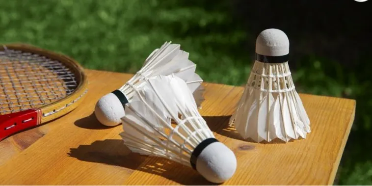 Cách Chơi Cá Cược Cầu Lông Tại Vui88 Dễ Dàng Trúng Thưởng