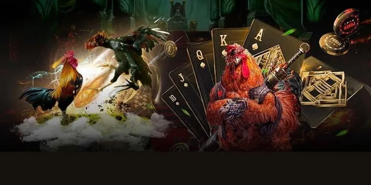 Áp Dụng Cách Chơi Đá Gà GA28 Tại Vui88 Ăn Tiền Thật