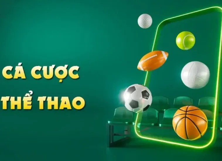 Trải Nghiệm Cá Cược Thể Thao Vui88 Đỉnh Cao Và Chuyên Nghiệp Nhất